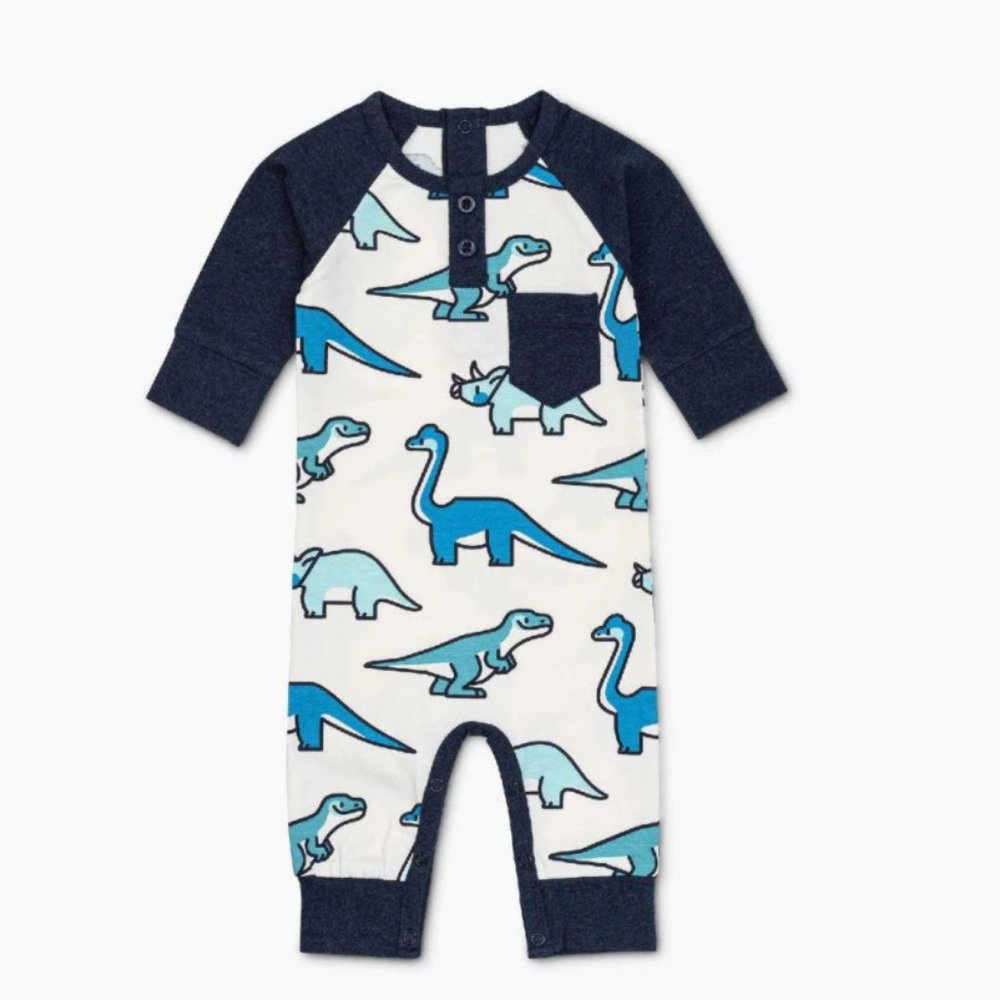 Blue and White Dinosaur Print Footies